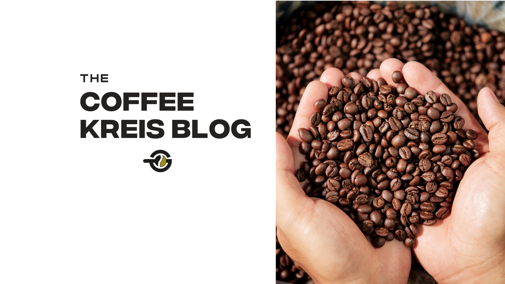 Types of Coffee Roasts: Everything You Need to Know Before Choosing Your Favorite Coffee