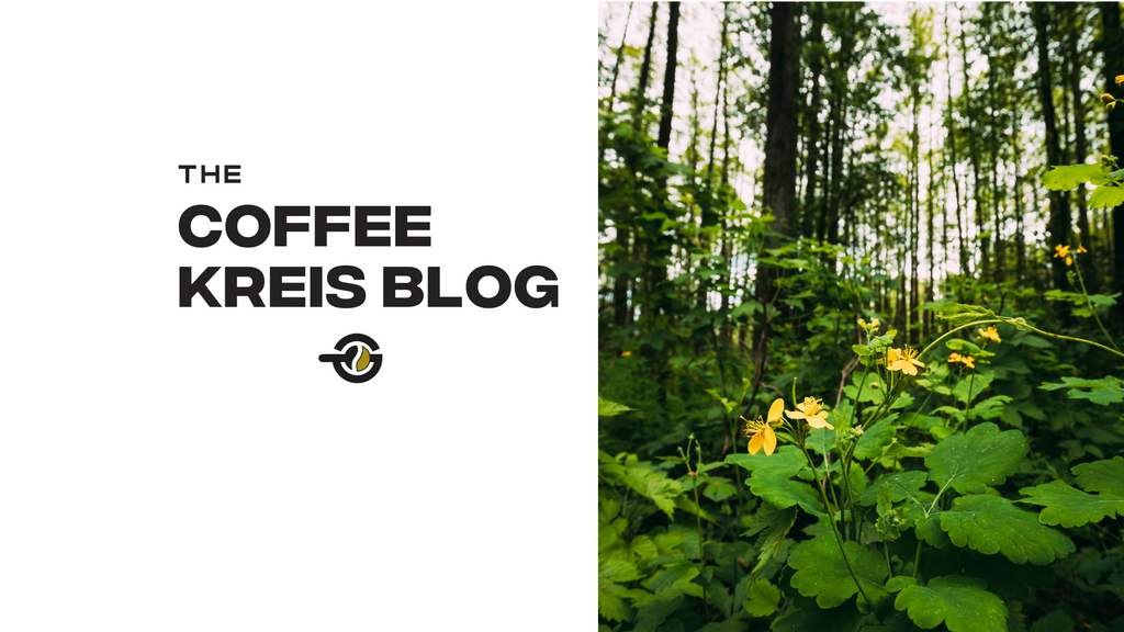 Descubre qué es desequilibrio ecológico, sus causas y ejemplos, y cómo soluciones sostenibles como Coffee Kreis ayudan a combatirlo