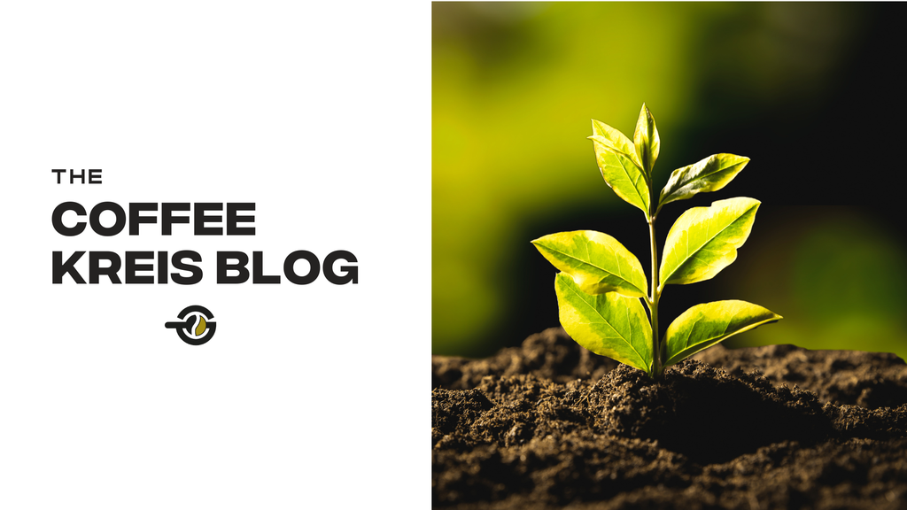 Learn what sustainable products are, see examples of eco-friendly and sustainable products, and identify products that are not sustainable plus one brand doing it right.